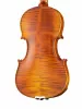 Professional Gama Genova Скрипка 4/4, Gliga, PG-V044-A