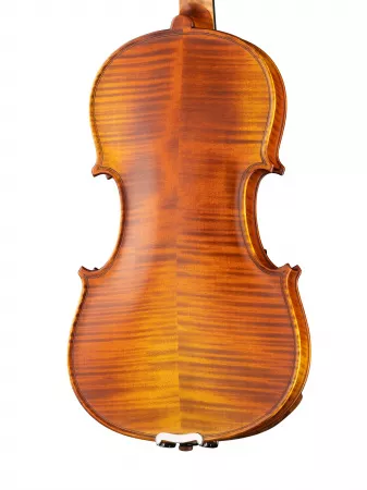 Professional Gama Genova Скрипка 4/4, Gliga, PG-V044-A