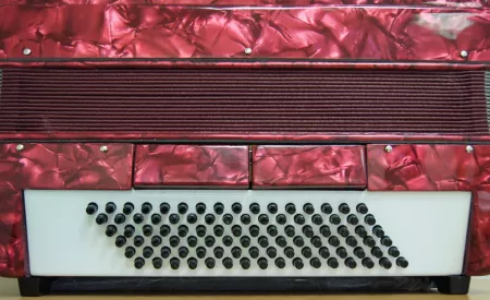 37K96B 7/2 Аккордеон Ritmuller Аккордеон, 37 клавиш, 96 басов, 7 регистров Ritmuller