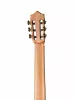Flamenco Series Классическая гитара, Martinez, MFG-AS