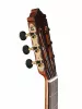 Standard Series Классическая гитара, Martinez, MC-88C