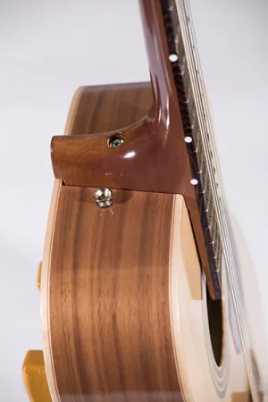RHNG12A017 Акустическая гитара, 12-струнная, Neva Guitars