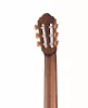 Classic Series Классическая гитара, массив ели, глянцевая, Cort, AC200-NAT