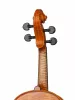 Professional Gama Super Скрипка 4/4, Gliga, PS-V044