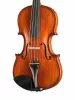 Proffesional Gama OPB Birds Eye Скрипка 4/4, Gliga, P-V044-OB