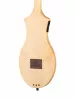 M4 Merlin Mahogany EQ Дульцимер со звукоснимателем, Seagull, 042517
