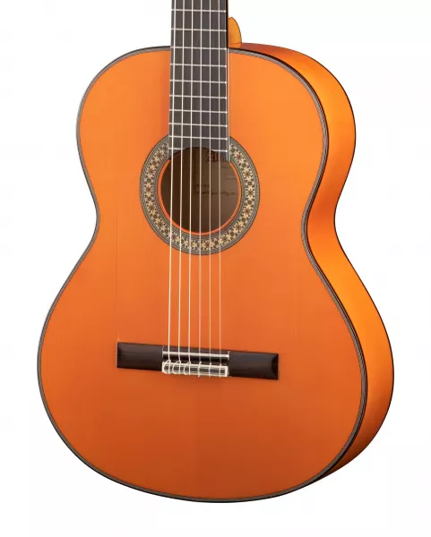 Flamenco Conservatory 4F Классическая гитара, защитная накладка, Alhambra, 8.209  рис.2 