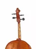 Workshop Gems 1 Виолончель 4/4, Gliga, AW-C044