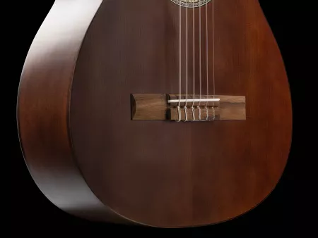 Silena Классическая гитара, NewTone, SCLSDBSP
