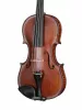 Professional Gama Special Antique Скрипка 4/4, Gliga, P-V044-S