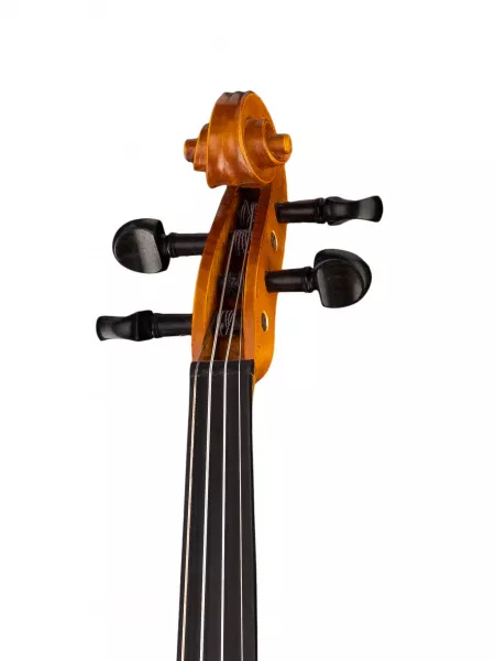 Скрипка концертная 3/4 Strunal, 175wA-3/4  рис.2 