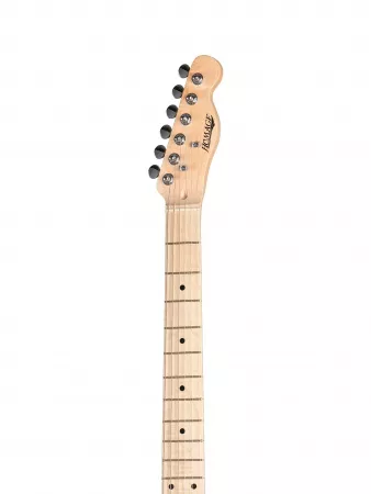 Электрогитара Telecaster SS Homage, HEG350BK