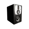 Студийный монитор, активный, 800Вт, EVE Audio, SC3010