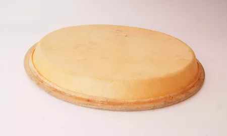 90549904 Champion CHHT 1250 Кожа для конги 12,5'', Sonor