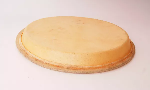 90549904 Champion CHHT 1250 Кожа для конги 12,5'', Sonor