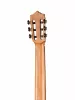 7/8 Standard Series Классическая гитара, Martinez, MC-58S-SEN
