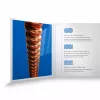 XS Комплект струн для акустической гитары, фосфорная бронза, 12-53, D'Addario, XSAPB1253