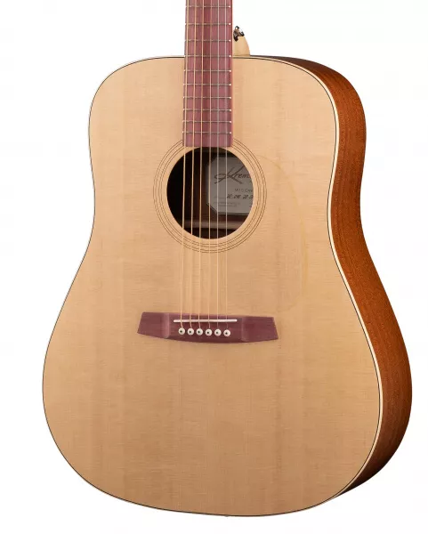 Steel String Series Green Globe Акустическая гитара, Kremona, M10-GG  рис.2 