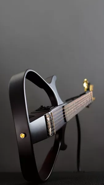 SG2 Сайлент-гитара 12-струнная, сапеле/тонировка темный орех, MIG Guitars, SG2SAD23  рис.2 