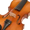 Скрипка 1/2, с футляром и аксессуарами, Cascha, HH-2134
