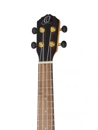 Ebony Series Укулеле концертный, с чехлом, Ortega, RUEB-CC