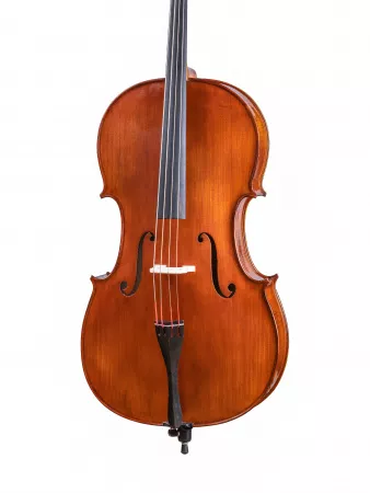 Workshop Gems 1 Виолончель 4/4, Gliga, AW-C044