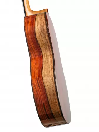 Artist Series Solea Классическая гитара, Kremona, SOLEA-SA-C-w/case