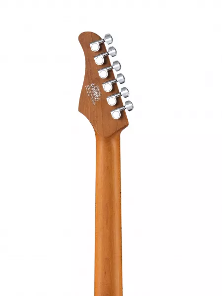 G Series Электрогитара, черная, Cort, G250SE-BK  рис.2 