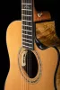 Gold Series Электро-акустическая гитара, цвет натуральный, с футляром, Cort, Gold-Edge-WCASE-NAT