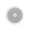 LASC620 Потолочный громкоговоритель, 20 Вт, LAudio