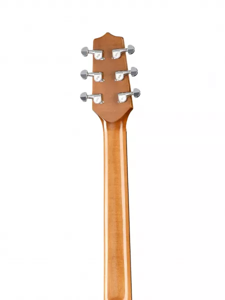 SM55 Акустическая гитара Hora, W11304ctw  рис.2 