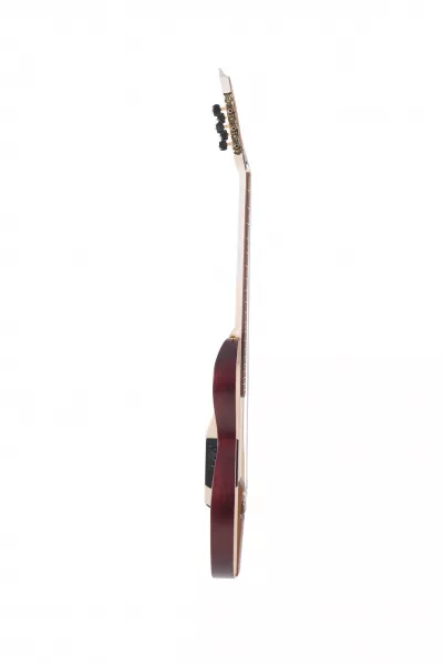 SG4 Сайлент-гитара, сапеле/тонировка махагон, MIG Guitars, SG4SAM23  рис.2 