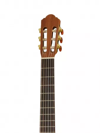 SM500 Классическая гитара, Hora, N1150
