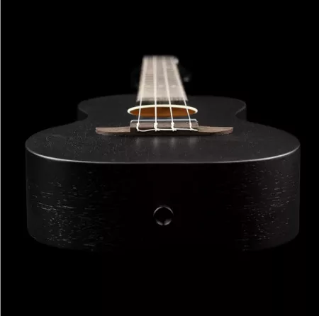 Horizon Series Укулеле концертный, черный, Ortega, RUHZ-SBK