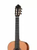 Artist Series Solea Классическая гитара, Kremona, SOLEA-SA-C-w/case