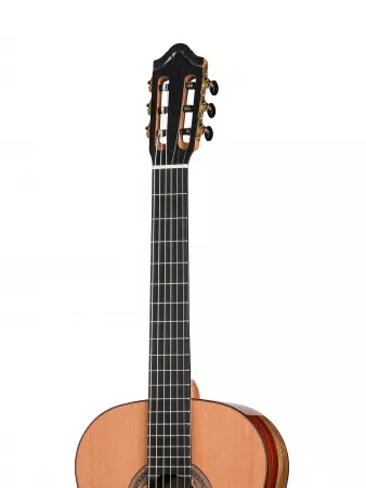 Artist Series Solea Классическая гитара, Kremona, SOLEA-SA-C-w/case