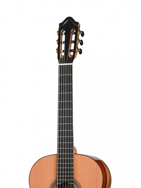 Artist Series Solea Классическая гитара, Kremona, SOLEA-SA-C-w/case  рис.2 