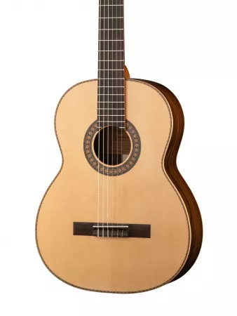 Soloist "Concert" Классическая гитара, NewTone, SCCLASNSPRW