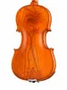 Professional Gama Unique Ash Скрипка 4/4, Gliga, PU-V044-OH