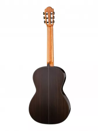 Классическая гитара, с футляром, Martinez, Torres-1859