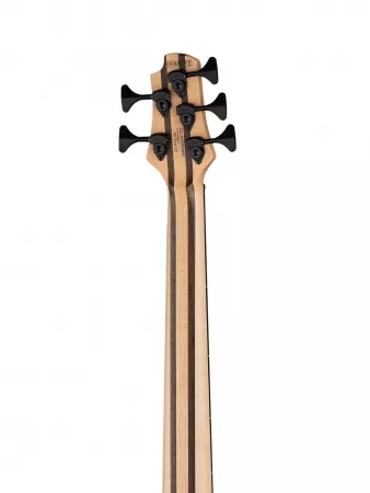 Artisan Series Бас-гитара 5-струнная, цвет янтарь, с чехлом Cort, A5-Plus-SC-AOP