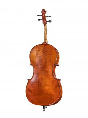 Workshop Gems 1 Виолончель 4/4, Gliga, AW-C044