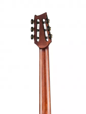 Frank Gambale Luxe Series Классическая гитара со звукоснимателем, с чехлом, Cort, LUXE-NYLON-WCASE-BR