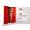 XS Комплект струн для акустической гитары, фосфорная бронза, 13-56, D'Addario, XSAPB1356