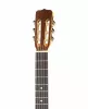 Классическая гитара, санберст, глянцевая, Presto, GC-BNSB20-G