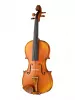 Professional Gama Genova Скрипка 4/4, Gliga, PG-V044-A