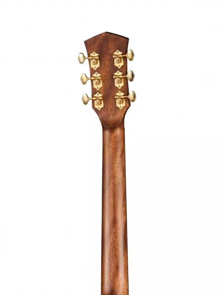 Gold Series Акустическая гитара, Cort, Gold-D6-50th-WCASE-NAT  рис.2 