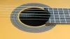 CG460S Классическая гитара, 39