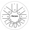 Фимбо "Лагуна", диаметр 22см, Фимбо, 22-23
