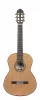 Классическая гитара, Martinez, Torres-Mahogany